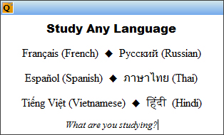 StudyMinder Flash Card with foreign language characters
