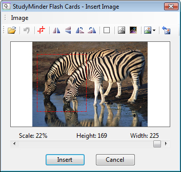 StudyMinder Flash Cards Insert Image screen