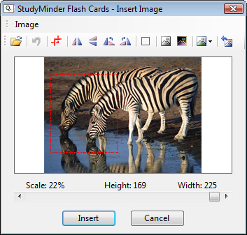 flash card program windows